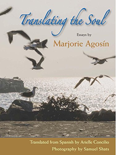 Translating the Soul: Essays