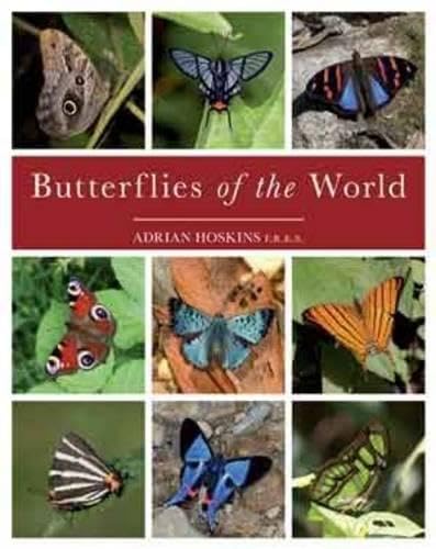 Butterflies of the World