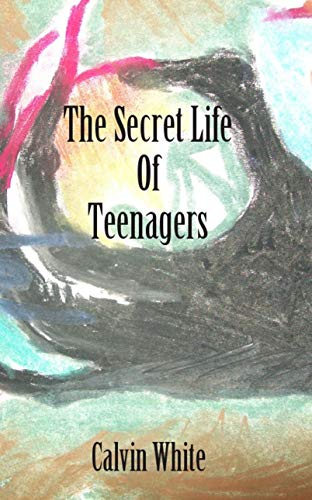 Secret Life of Teenagers: Confessions of a High School Counselor
