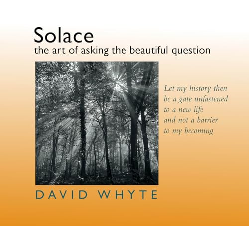 Solace: The Art of Asking the Beautiful Question