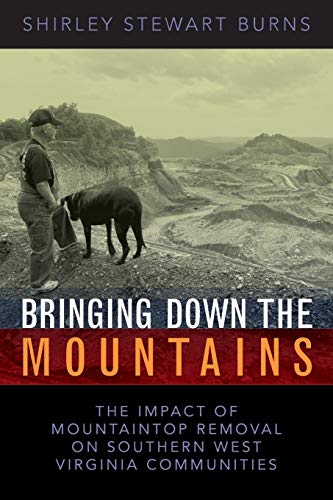 BRINGING DOWN THE MOUNTAINS: THE IMPACT OF MOUTAINTOP REMOVAL SURFACE COAL MINING ON SOUTHERN WEST VIRGINIA COMMUNITIES