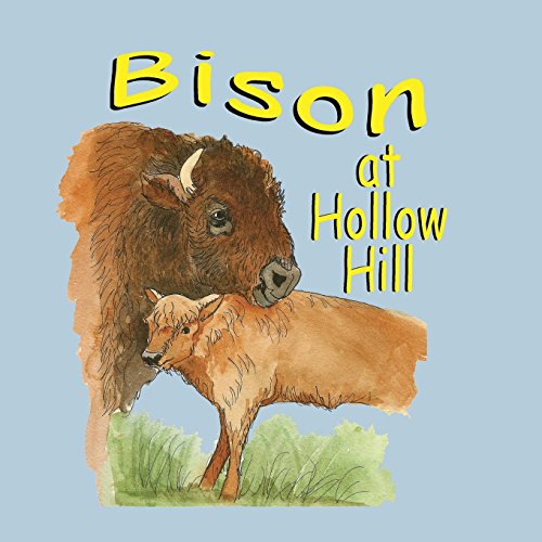 Bison at Hollow Hill