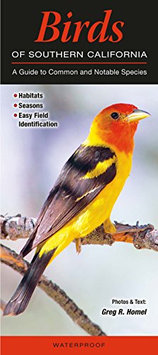 Birds of Southern California: A Guide to Common and Notable Species (Quick Reference Guides)