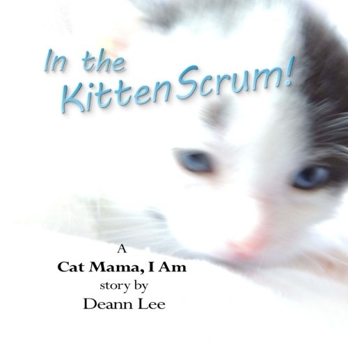 In the Kitten Scrum: A Cat Mama, I Am Story