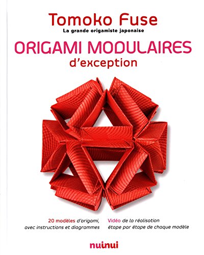 Origami modulaires d'exception