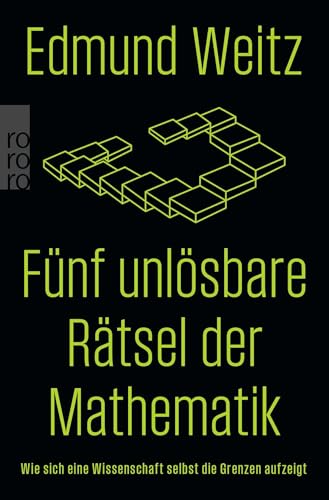 Fünf unlösbare Rätsel der Mathematik: Wie sich eine Wissenschaft selbst die Grenzen aufzeigt