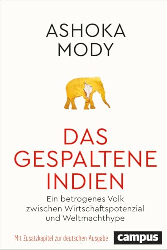 Das gespaltene Indien: Ein betrogenes Volk zwischen Wirtschaftspotenzial und Weltmachthype