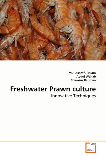 Freshwater Prawn culture: Innovative Techniques