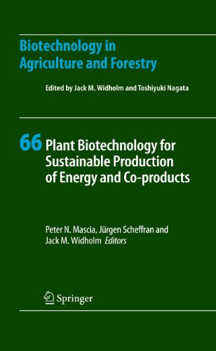 Plant Biotechnology for Sustainable Production of Energy and Co-products (Biotechnology in Agriculture and Forestry, 66)