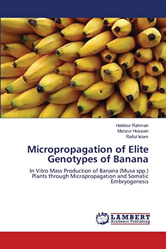 Micropropagation of Elite Genotypes of Banana: In Vitro Mass Production of Banana (Musa spp.) Plants through Micropropagation and Somatic Embryogenesis