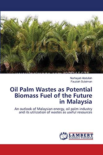 Oil Palm Wastes as Potential Biomass Fuel of the Future in Malaysia: An outlook of Malaysian energy, oil palm industry and its utilization of wastes as useful resources