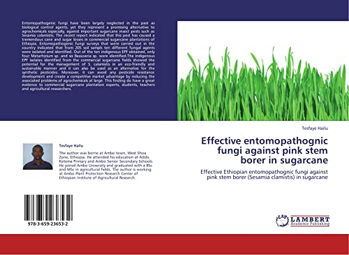Effective entomopathognic fungi against pink stem borer in sugarcane: Effective Ethiopian entomopathognic fungi against pink stem borer (Sesamia clamistis) in sugarcane