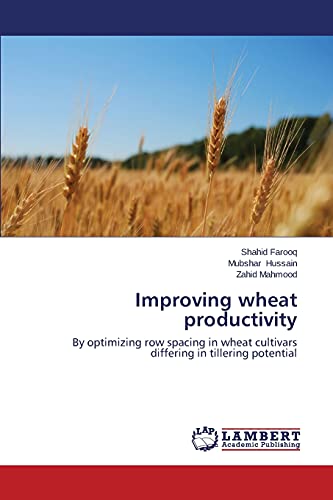 Improving wheat productivity: By optimizing row spacing in wheat cultivars differing in tillering potential