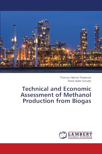 Technical and Economic Assessment of Methanol Production from Biogas