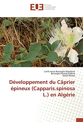 Développement du Câprier épineux (Capparis.spinosa L.) en Algérie (French Edition)