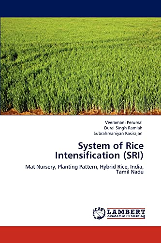 System of Rice Intensification (SRI): Mat Nursery, Planting Pattern, Hybrid Rice, India, Tamil Nadu