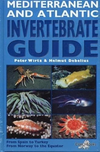 Mediterranean and Atlantic Invertebrate Guide: From Spain to Turkey, from Norway to the Equator