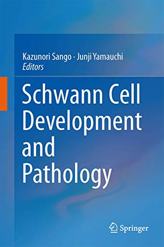 Schwann Cell Development and Pathology