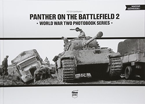 Panther on the Battlefield 2 (2)