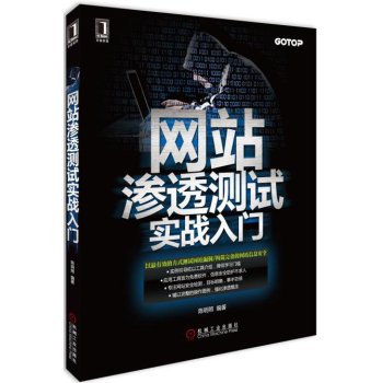 Website penetration testing actual entry(Chinese Edition)
