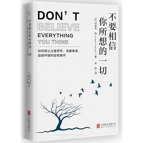 Don't Believe Everything You Think (Chinese Edition)