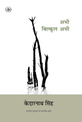 Abhi, Bilkul Abhi (Hindi Edition)