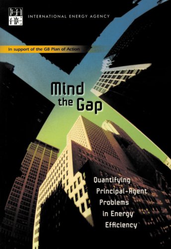 Mind the Gap: Quantifying Principal-Agent Problems in Energy Efficiency