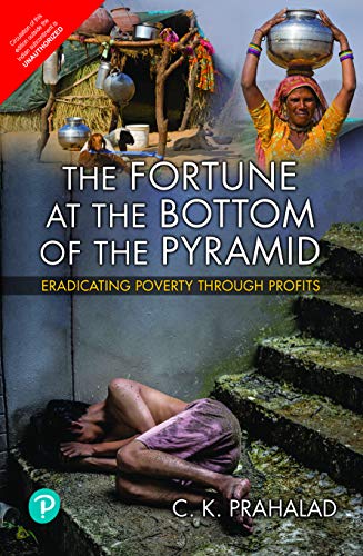 The Fortune at The Bottom of The Pyramid [Paperback]