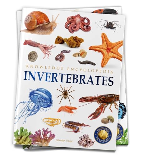 Animals: Invertebrates (Knowledge Encyclopedia For Children)