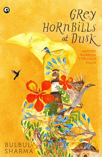 Grey Hornbills at Dusk: Nature Rambles Through Delhi