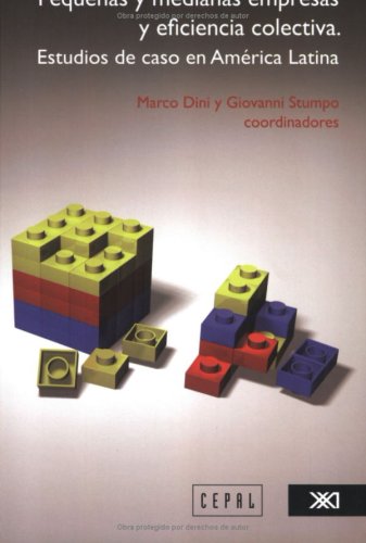 Pequenas y medianas empresas y eficiencia colectiva / Small and Medium Enterprises and Collective Efficiency: Estudios de caso en America latina