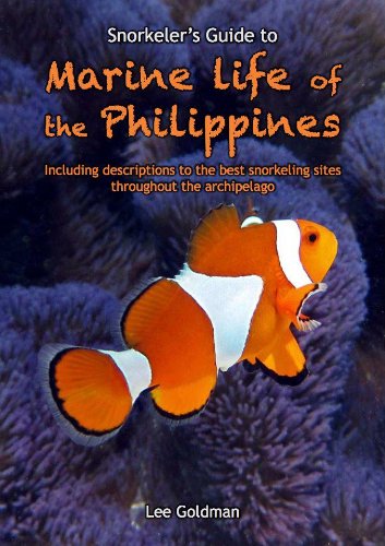 Snorkeler's Guide to Marine Life of the Philippines