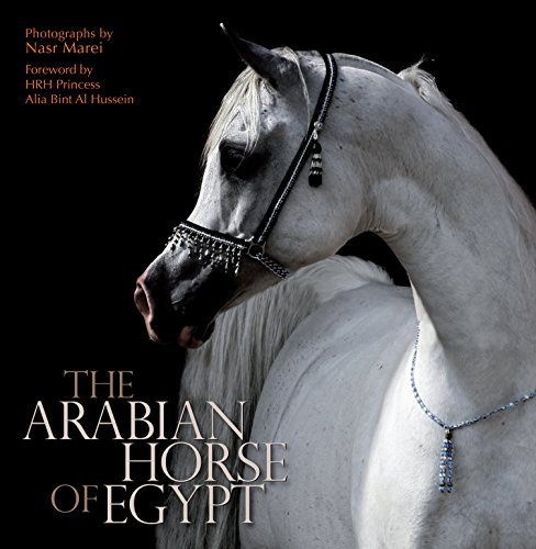The Arabian Horse of Egypt