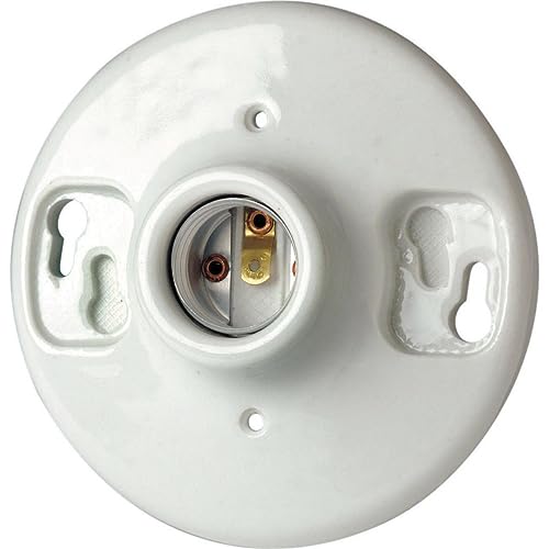 Leviton 9875 Porcelain Outlet Box Mount, Incandescent Ceiling Lampholder, Keyless, White