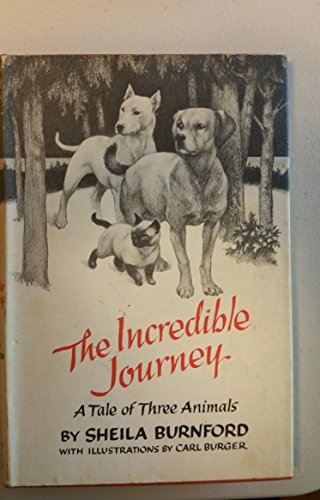 The Incredible Journey A Tale Of Three Animals