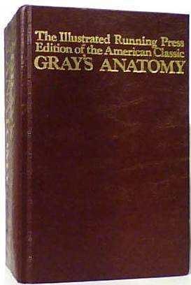 Grays Anatomy 1901 Edition