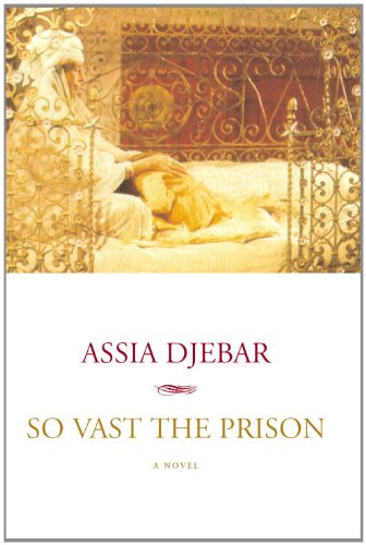So Vast the Prison: A Novel