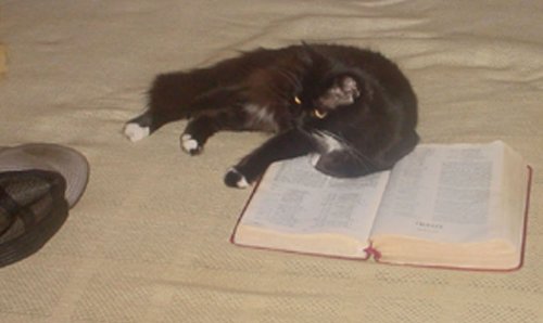 The Goddess Beatrice Photo Album: The Divine Comedy and Virgil as Guide (Photo Essay Book 11)