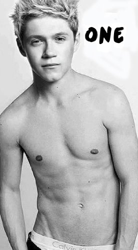 Fifty Shades of Niall (part 1)