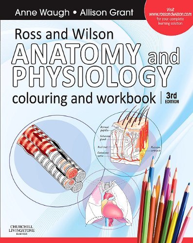Ross and Wilson Anatomy and Physiology Colouring and Workbook, 3e By Anne Waugh BSc(Hons) MSc CertEd SRN RNT FHEA, Allison Grant BSc PhD RGN [PAPERBACK]