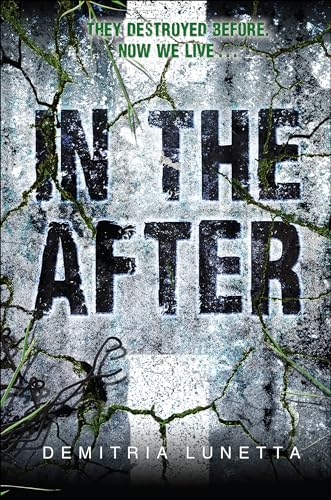 In the After (English Edition)