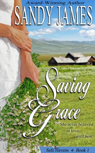 Saving Grace (Safe Havens Book 1)