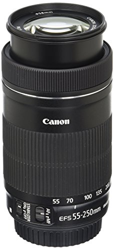 Canon EF-S 55-250mm F4-5.6 is STM