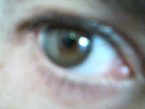 Knowing Who You Really Are (English Edition)