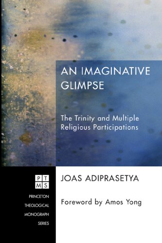 An Imaginative Glimpse: The Trinity and Multiple Religious Participations (Princeton Theological Monograph Series Book 198)