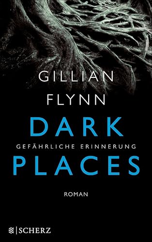 Dark Places - Gefährliche Erinnerung: Thriller (Hochkaräter) (German Edition)
