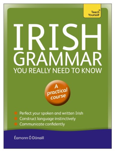 Irish Grammar You Really Need to Know: Teach Yourself