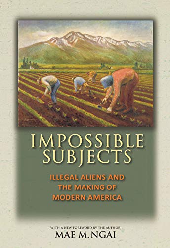 Impossible Subjects: Illegal Aliens and the Making of Modern America - Updated Edition (Politics and Society in Modern America Book 105)