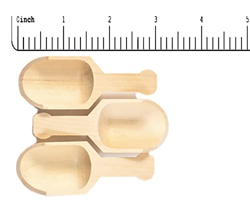 Perfect Stix Scoop 3-10 ct Mini pelle de bois, 7,6 cm de long x 11/10,2 cm de large (lot de 10)