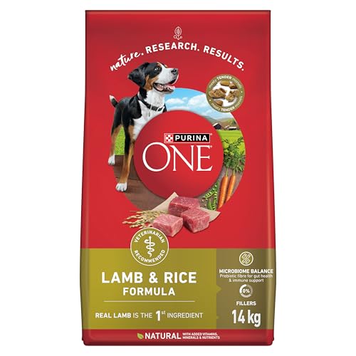 Purina ONE Dry Dog Food, Lamb & Rice - 14 kg Bag